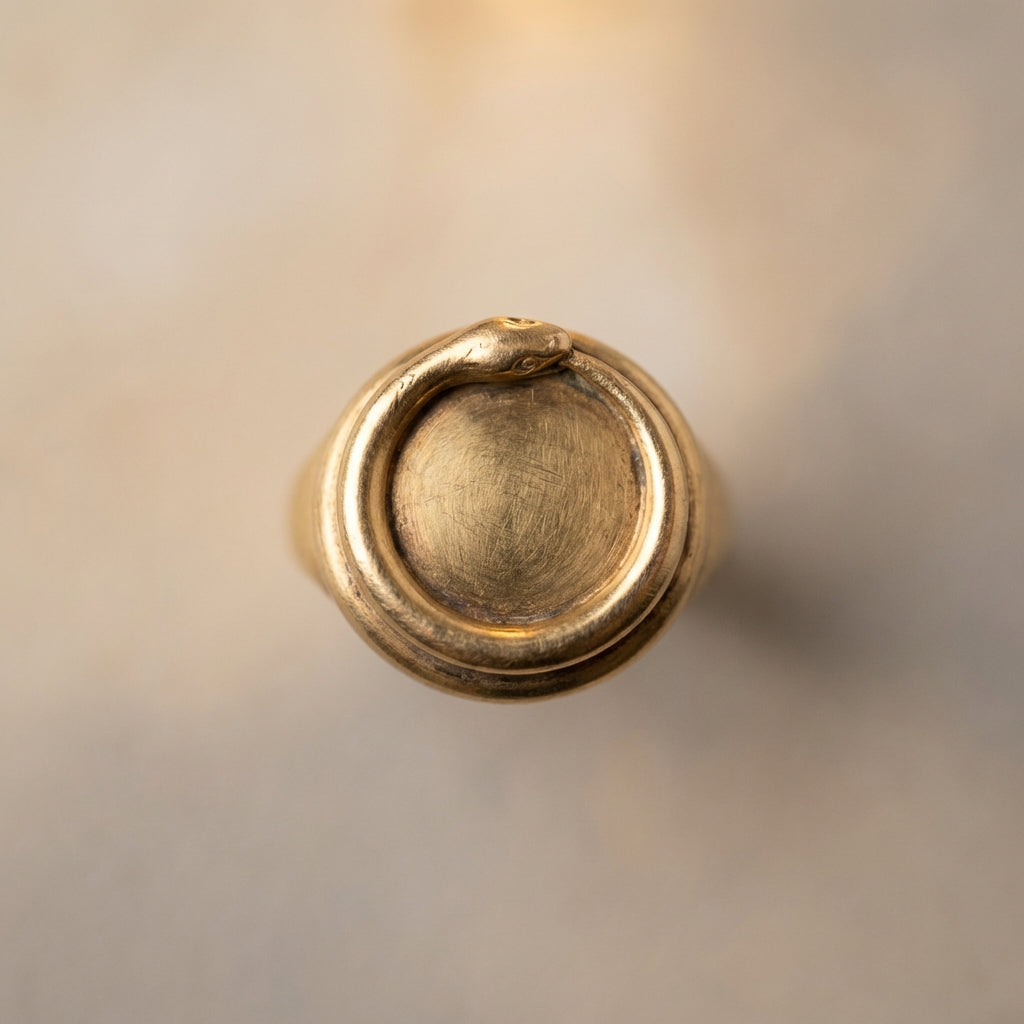 Top lit close up of a gold ouroboros ring bezel showing a coiled snake motif on a minimalist neutral background #ede7da with warm highlights and visible patina