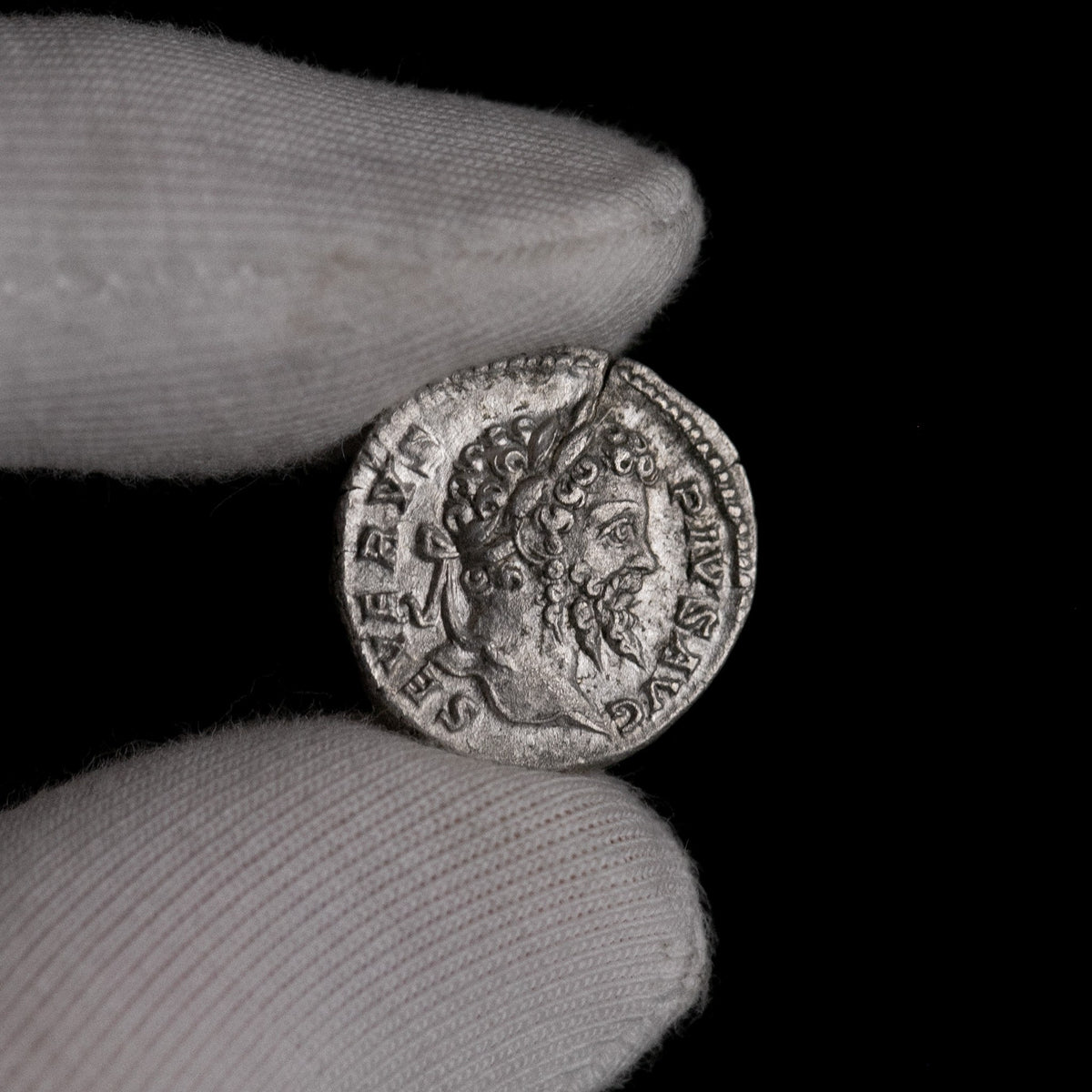 Macro detail of Roman silver denarius of Septimius Severus, portrait close-up.