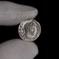 Macro detail of Roman silver denarius of Septimius Severus, portrait close-up.