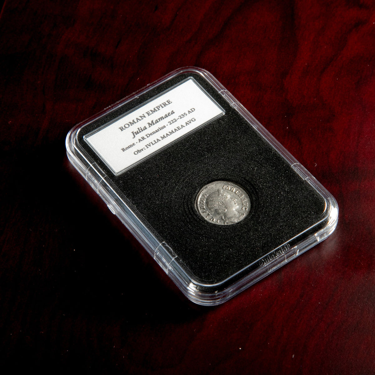 Roman silver denarius of Julia Mamaea in protective slab with catalog label.