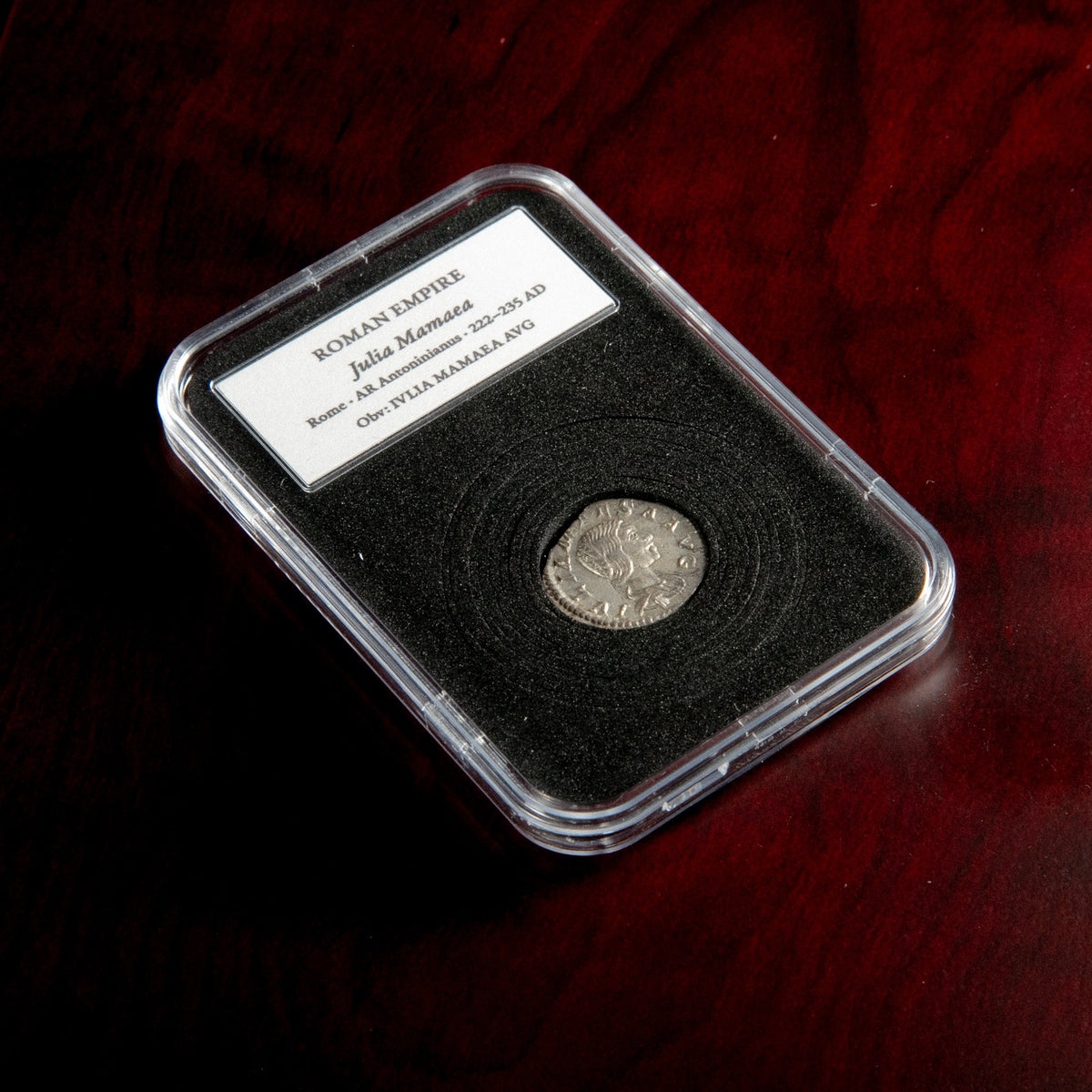 Roman silver denarius of Julia Mamaea in protective slab with catalog label.