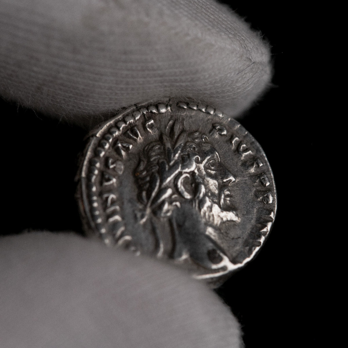 Macro detail of Roman silver denarius of Antoninus Pius, portrait close-up.