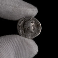 Macro detail of Roman silver denarius of Antoninus Pius, portrait close-up.