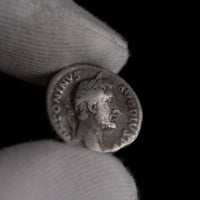 Macro detail of Roman silver denarius of Antoninus Pius, portrait close-up.