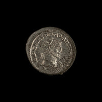 Obverse of Roman silver antoninianus of Probus, legend IMP C M AVR PROBVS P F AVG, radiate or laureate bust right.