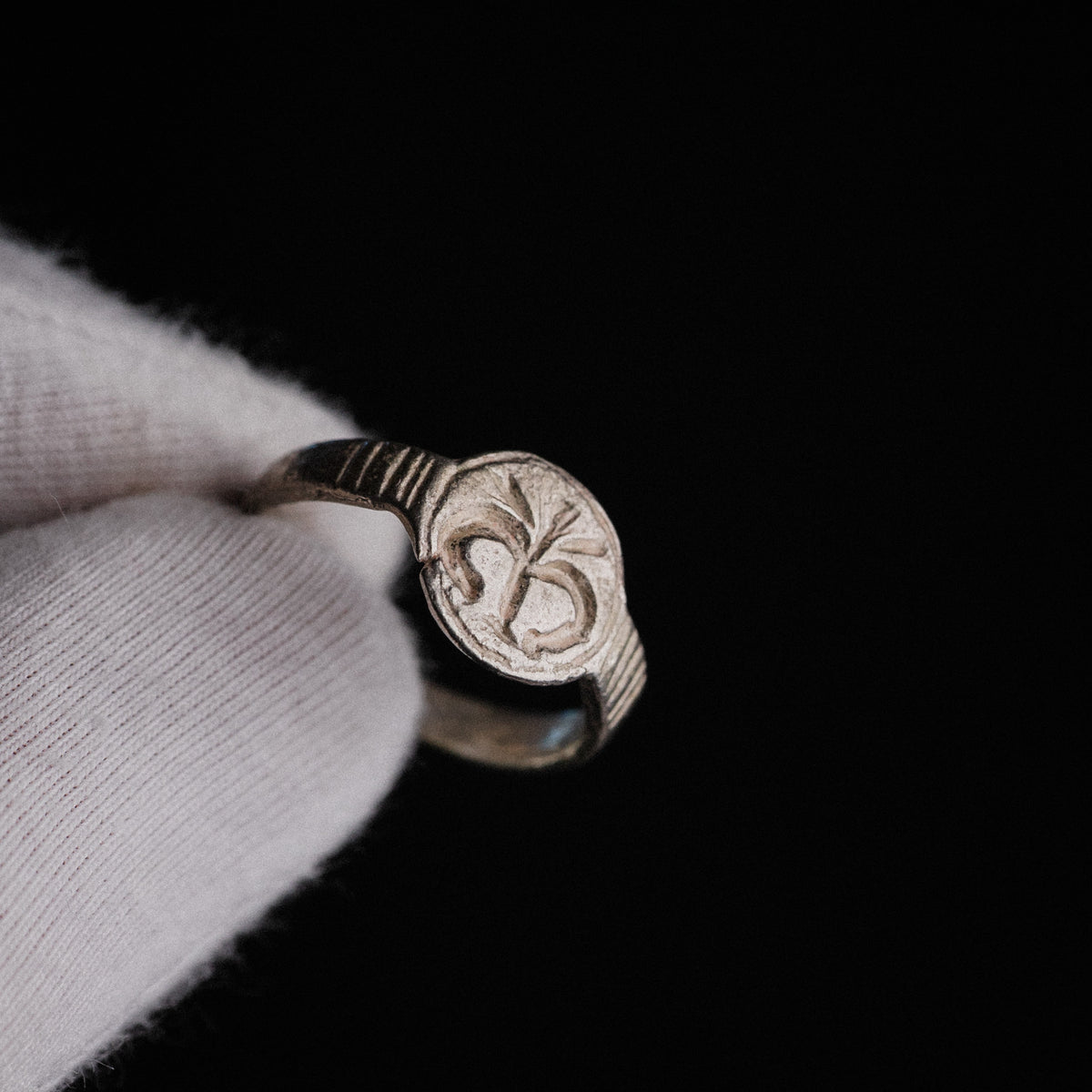 Medieval silver signet ring Lysenne held in gloved hand showing fleur-de-lys bezel detail