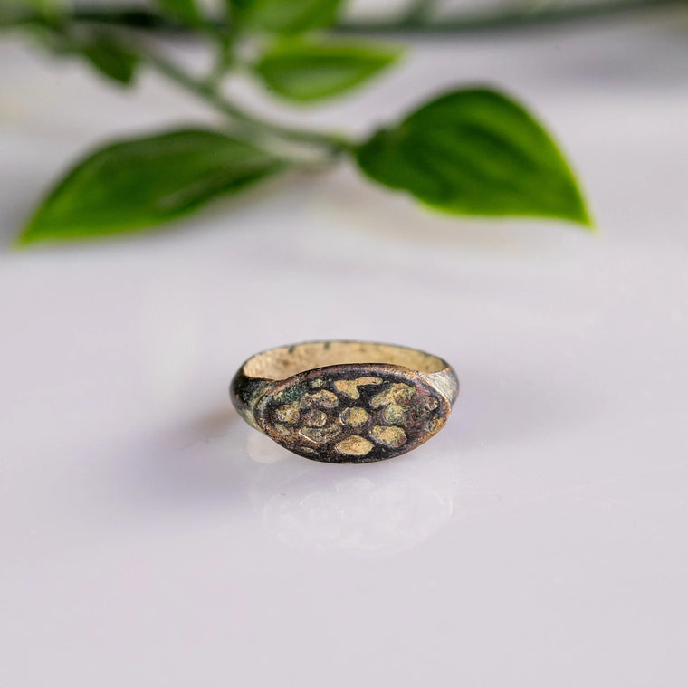 Bronze Ring 'Faustinus'