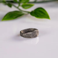 “Palmaris” – Late Roman Silver Ring with Palm Branch Motif (3rd–5th Century AD) – EU 45 / US 3.25 Aurora Antiqua