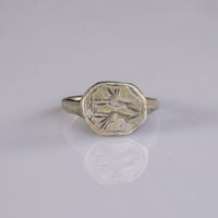 “Flavius” – Roman Silver Seal Ring with Twin-Bird Engraving (1st–3rd Century AD) – EU 53 / US 6.5 Aurora Antiqua