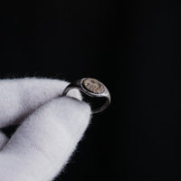 Roman Silver Ring with Cream Stone Intaglio of Horse – “Equitius” (1st–3rd c. AD) – EU 53.5 / US 6.75 Aurora Antiqua