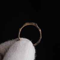 Close-up of Roman bone ring Numerius bezel with drilled ring-and-dot motifs
