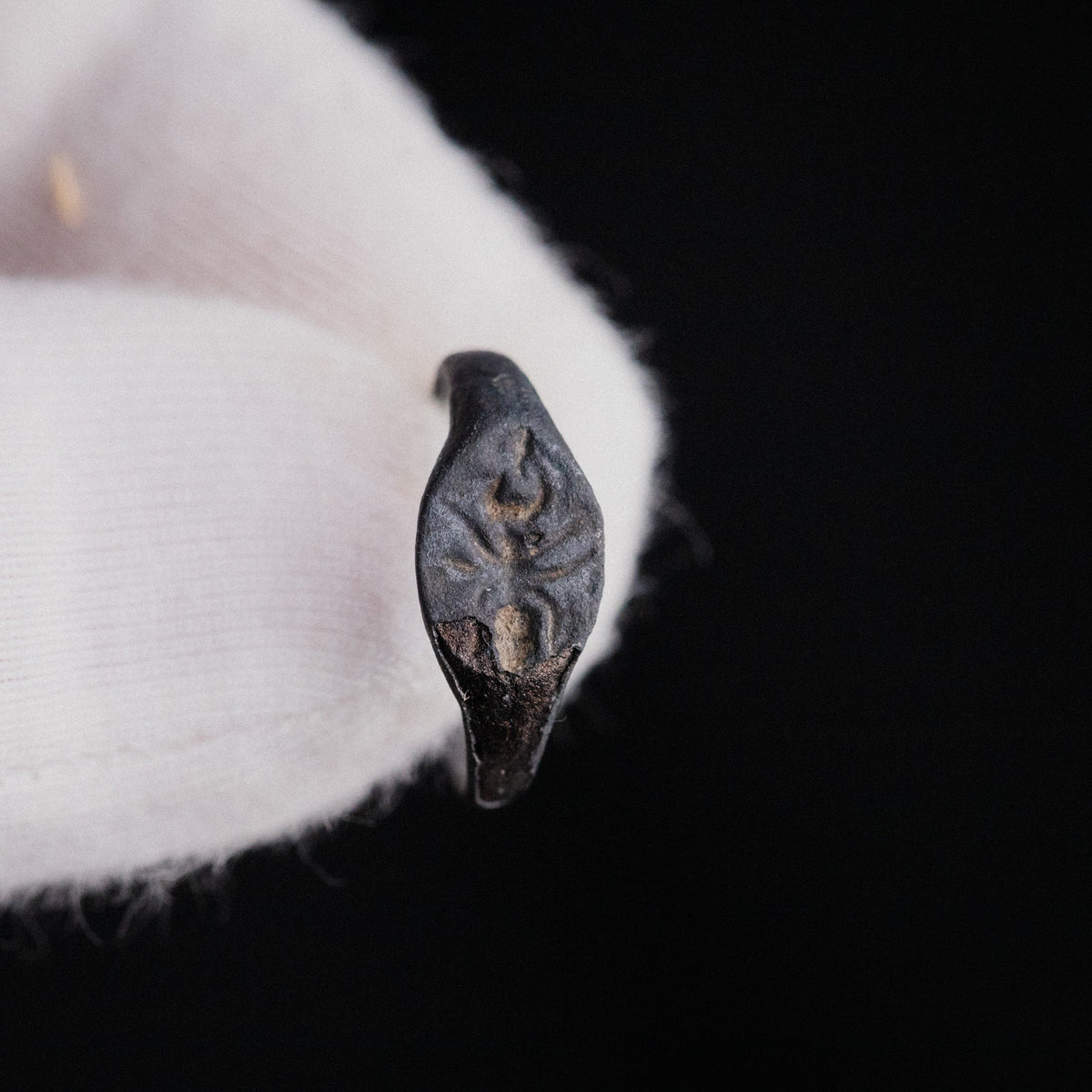 Detailed macro of Roman bronze ring Formica bezel showing insect engraving and patina flaking