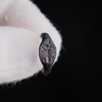 Detailed macro of Roman bronze ring Formica bezel showing insect engraving and patina flaking