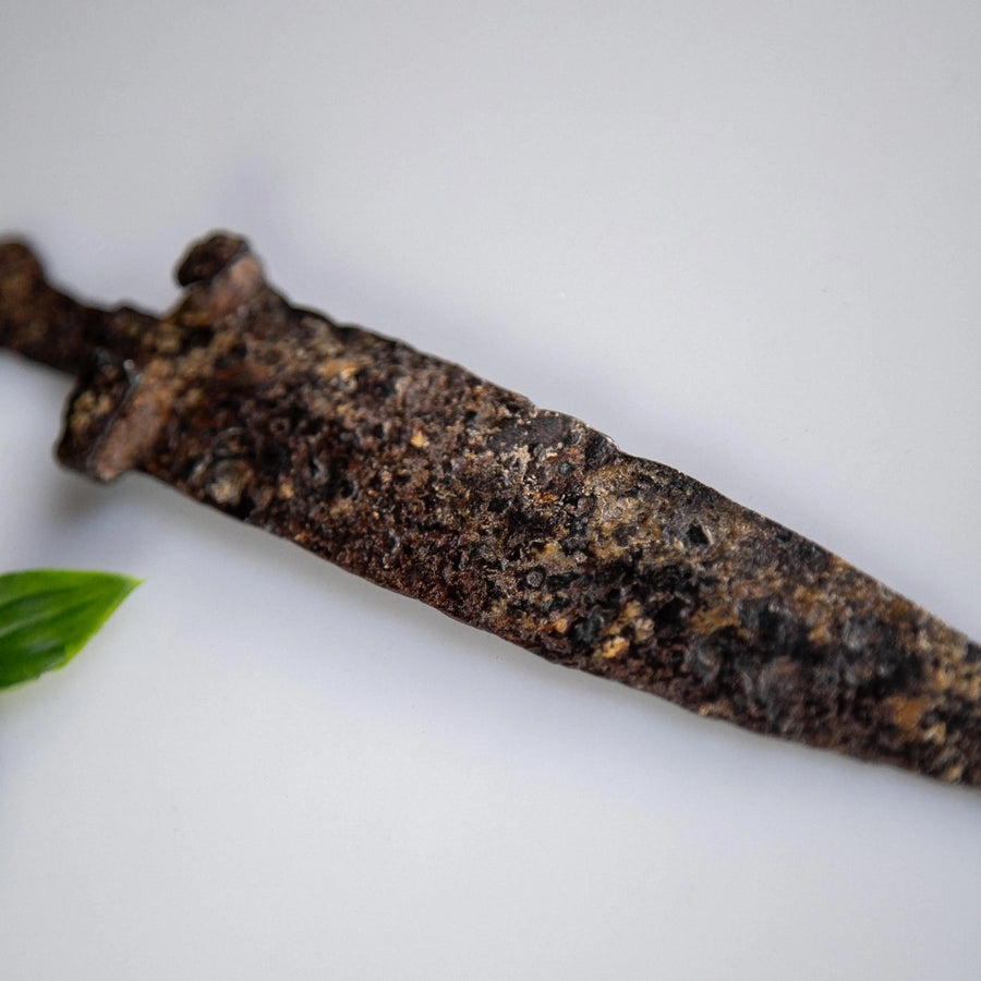 'Atticus' - Roman Legionary Pugio Dagger (1st Century BC) Aurora Antiqua