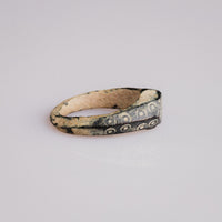 Profile of Roman bone ring Numerius revealing tapered hoop and dark patina