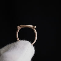 Profile of Roman silver ring Numeria on gloved hand showing swivel-bezel axis and shoulder bars