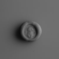 Roman Roman Fine jewelry, 2nd–3rd c. CE, Silver